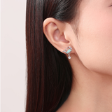 Hoshi Dolphin Earrings 925 Silver