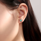 Ocean Treasures Earstud Set 925 Silver [Turtle, Shell, Starfish]