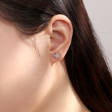 Ocean Treasures Earstud Set 925 Silver [Turtle, Shell, Starfish]